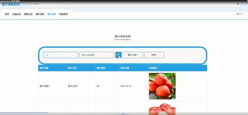 附源码 springboot图片销售系统 计算机毕设 66943